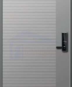 CỬA THÉP HÀN QUỐC 101_S