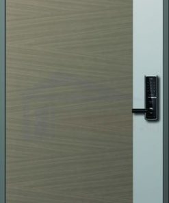 CỬA THÉP HÀN QUỐC 102_S