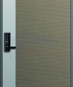 CỬA THÉP HÀN QUỐC 102_T