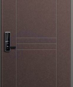 CỬA THÉP HÀN QUỐC 405-R