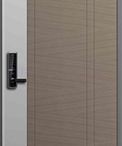 Cửa thép Hàn Quốc THQ 512