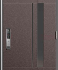 Cửa thép Hàn Quốc THQ 653