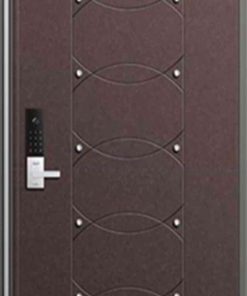 Cửa thép Hàn Quốc THQ 768