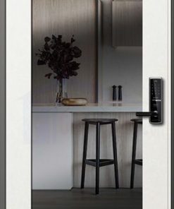 CỬA THÉP HÀN QUỐC 903-H_S