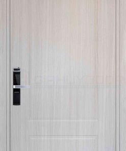 Cửa nhựa Composite B01-91