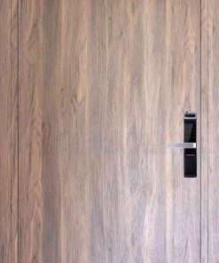 Cửa nhựa Composite B14-00