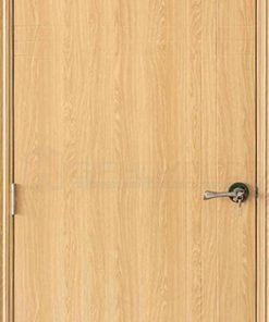Cửa nhựa cao cấp P1R6