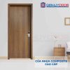 Cửa nhựa Composite SGD105-M05