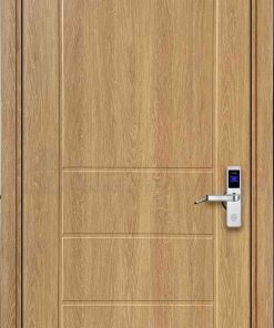 Cửa nhựa Composite SGD106-M11