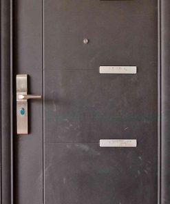 Cửa thép chống cháy P1 den