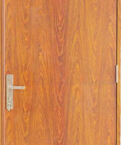 Cửa thép chống cháy P1 van go (2)