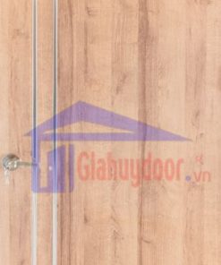 Cửa Gỗ Công Nghiệp HDF HDF.MP1R2