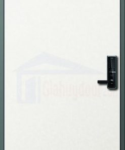 CỬA THÉP HÀN QUỐC H_S