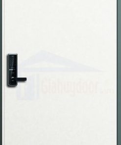 CỬA THÉP HÀN QUỐC H_T