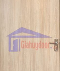 Cửa Gỗ Công Nghiệp MDF MDF.MP1.