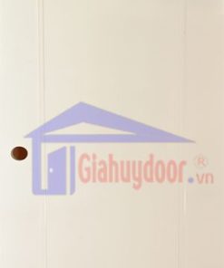 Cửa Nhựa Gỗ SungYu SYA-A05