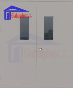 Cửa thép chống cháy TCC.P3G2-C3