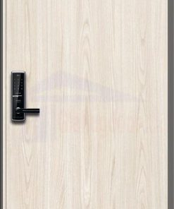 CỬA THÉP HÀN QUỐC WH