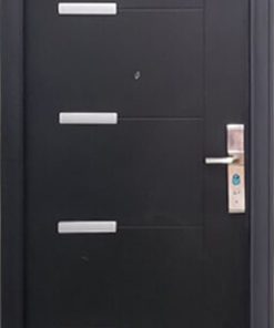 Cửa Thép Vân Gỗ GHD-25