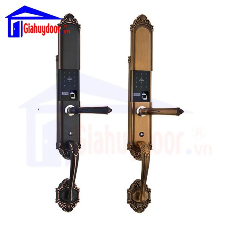 Khóa cửa điện tử 39813